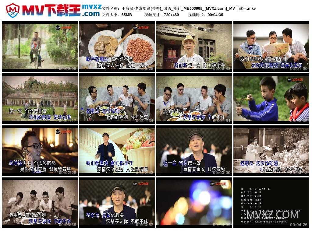 王海滨-老友如酒(替换)_国语_流行_MB503965